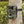 Charger l&#39;image dans la galerie, Caméra de chasse &lt;br&gt; Caméra SuntekCam HC-801A - Caméras Chasse 
